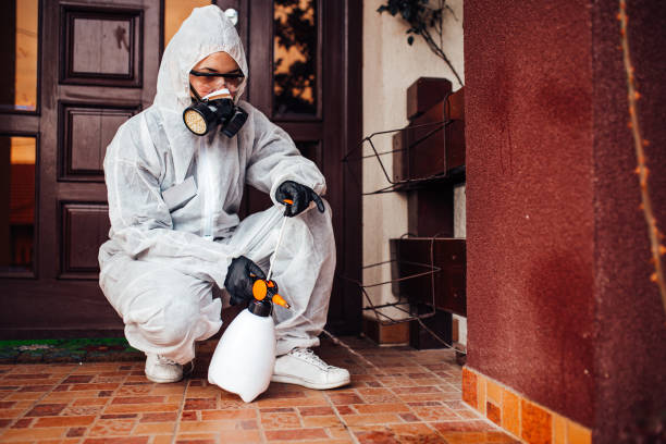 Reliable Bed Bug Control contractor in North El Monte, CA by Nex Pest Control